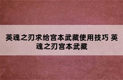 英魂之刃求给宫本武藏使用技巧 英魂之刃宫本武藏